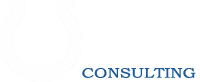 USS Consulting